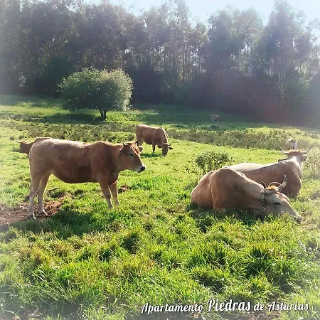 Piedras De Asturias Piedras Blancas